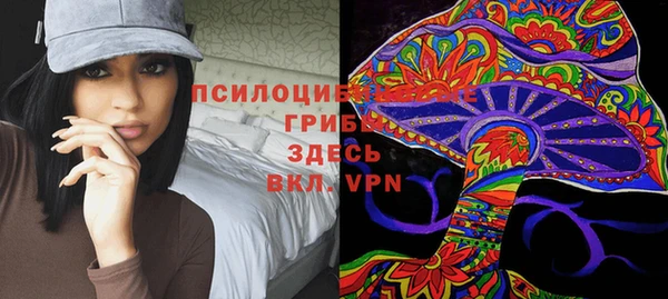 прущая мука Кодинск
