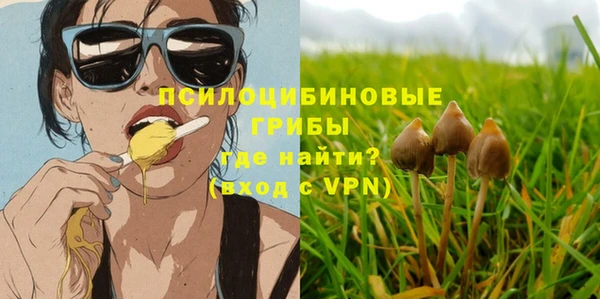 прущая мука Кодинск