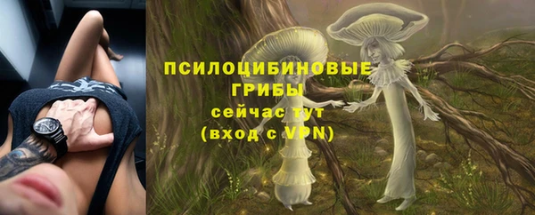 прущая мука Кодинск
