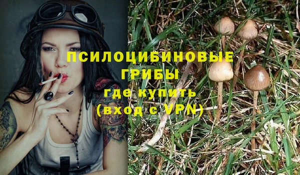 прущая мука Кодинск